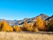 notes jeudi Ouvertures Beethoven