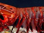 Cultivez-vous avec cultures