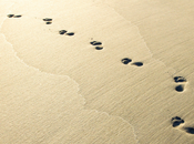 CxO, encore nouveau rôle dans l'entreprise