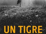 tigre dans maison Jacqueline Sheehan