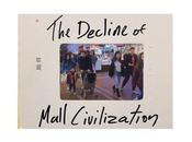 Michael galinsky decline mall civilization