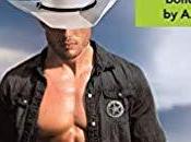 avis Unforgiven, second tome saga Loveless Texas Crownover