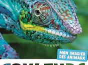 Couleurs imagier animaux Naturagency