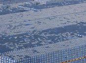 Craft beer PRIX BIÈRE: brasserie mérite! héros Malt