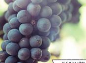 Tours détours Beaujolais