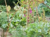 potager, plus utile supermarché crise confinement