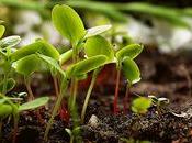 Qu’est-ce permaculture quels sont avantages