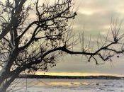 "Nous sommes bâtis pour l'inaccessible" Félix Leclerc