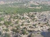 Près cent soldats tchadiens tués Boko Haram