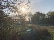 691_ Confinement, mais.