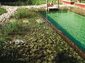 Piscines, tendance spas baignades naturelles