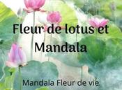 Fleur Lotus Mandala