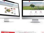 Mise Place Stratégie Site Internet Banque Populaire Agence Webdesign Graphisme Strasbourg