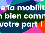 Gestion Site Internet Gilets Jaunes Agence référencement naturel Havre