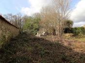 Info bière Terrain Chailly-en-Bière (77) vendre 755134 Houblon