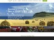 Optimisation Site Internet Plus Traduit Monde Agence Webdesign Graphisme Dunkerque