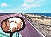 avis Summertime, tome saga Season Song Fleur Hana Jacinthe Canet