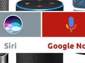 Optimisation Site Internet WordPress Exemple Agence référencement naturel Nîmes