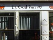 Sauvons Chat Puccino Rennes