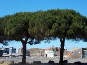 temps s'est rafraîchi