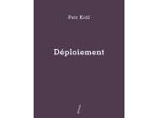 (Anthologie permanente) Petr Král, Déploiement