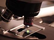 leviers d’influence l’industrie santé