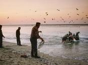 passé tire révérence