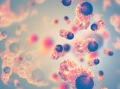 CANCER Assommer cellules cancéreuses coup sucre