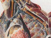 L'Anatomie l'État, Murray Rothbard