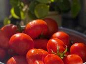 Tarte tomates amande d’Ottolenghi