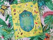 Insectes petites bêtes Jess French Claire McElfatrick