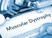 DYSTROPHIE MUSCULAIRE voie traitement ouverte pour myopathie Duchenne