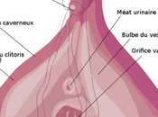 trucs savoir clitoris