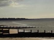 mots croisés disparus