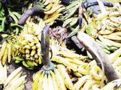 Banane-plantain: revendeurs empoisonnent consommateurs