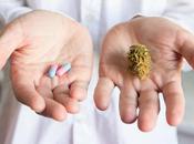 CANNABIS Efficace contre