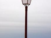 quel bord sont arbres?