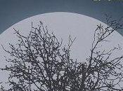 Nuits blanches Oklahoma, Collectif