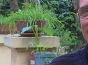 Immunité artificielle Invitation prudence