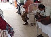 centaines d’hindous hospitalisés dans sud-est dûment l’Inde cause d’une mystérieuse maladie