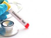 CHOLESTÉROL réponse pathogène saine apports graisses saturées