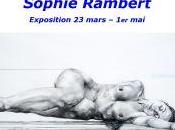 Galerie exposition Sophie Rambert/ Mars 2021