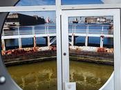 perspective vers large