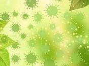 COVID-19 Gare pollens, font grimper taux d'infection