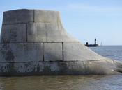 demain sera-t-il virtuose?