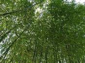 certains jours, paraît...