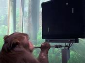 Neuralink d’Elon Musk publie vidéo d’un singe jouant Pong avec esprit