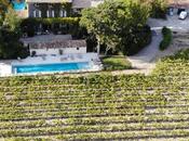 Domaine l’Odylée Côtes Rhône