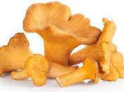 CANCER champignons prévention