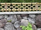 Brise-vue comment choisir pour préserver intimité